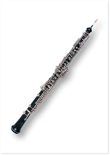 Postcard Oboe