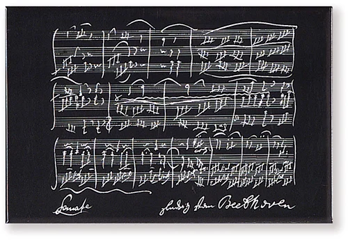 Magnet Beethoven schwarz