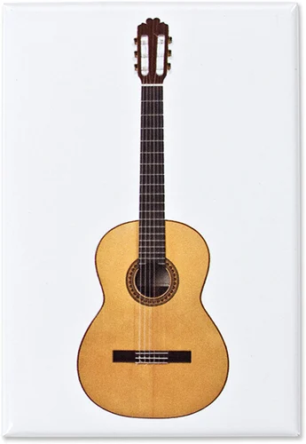 Magnet Gitarre